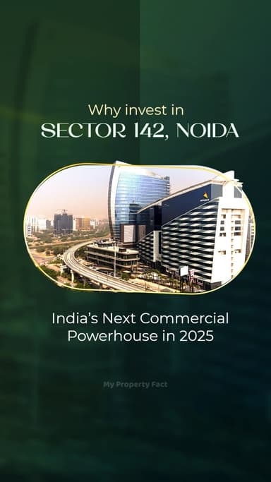 why-invest-in-sector-142