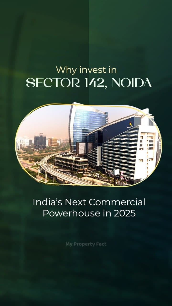 why-invest-in-sector-142