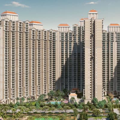 Prateek Grand Begonia